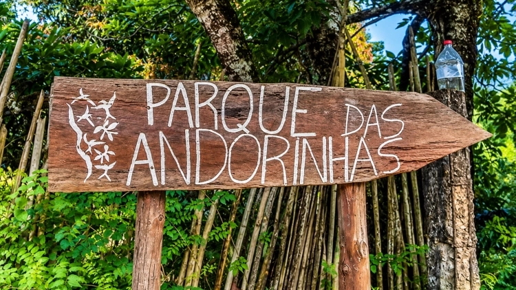 Imagem de vitrine